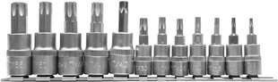 Presētu uzgaļu komplekts Torx 1/4" 3/8" T8-T55 Yato (YT-04331), 12 gab. cena un informācija | Rokas instrumenti | 220.lv