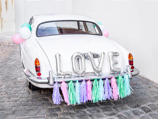 Автомобильная декорация Love mix цена и информация | Праздничные декорации | 220.lv