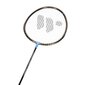 Badmintona rakete Wish Alumtec 316 cena un informācija | Badmintons | 220.lv