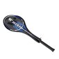 Badmintona rakete Wish Alumtec 317 цена и информация | Badmintons | 220.lv