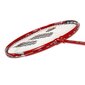 Badmintona komplekts Wish Alumtec 5566 cena un informācija | Badmintons | 220.lv