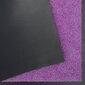Hanse Home durvju paklājiņš Wash & Clean, 40x60 cm cena un informācija | Kājslauķi | 220.lv