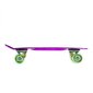 Skrituļdēlis Nils Extreme Pennyboard PNB01 цена и информация | Skrituļdēļi | 220.lv