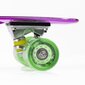 Skrituļdēlis Nils Extreme Pennyboard PNB01 cena un informācija | Skrituļdēļi | 220.lv