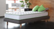 Matracis Ted Bed Eucalyptus Fresh, 160x200 cm cena un informācija | Matrači | 220.lv