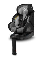 Кресло безопасности ISOFIX Lukas, 0 - 18 кг, stone цена и информация | Автокресла | 220.lv