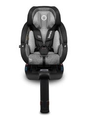 Кресло безопасности ISOFIX Lukas, 0 - 18 кг, stone цена и информация | Автокресла | 220.lv