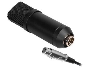 Микрофон со стойкой Tracer Studio Prp TRAMIC46163 цена и информация | Микрофоны | 220.lv