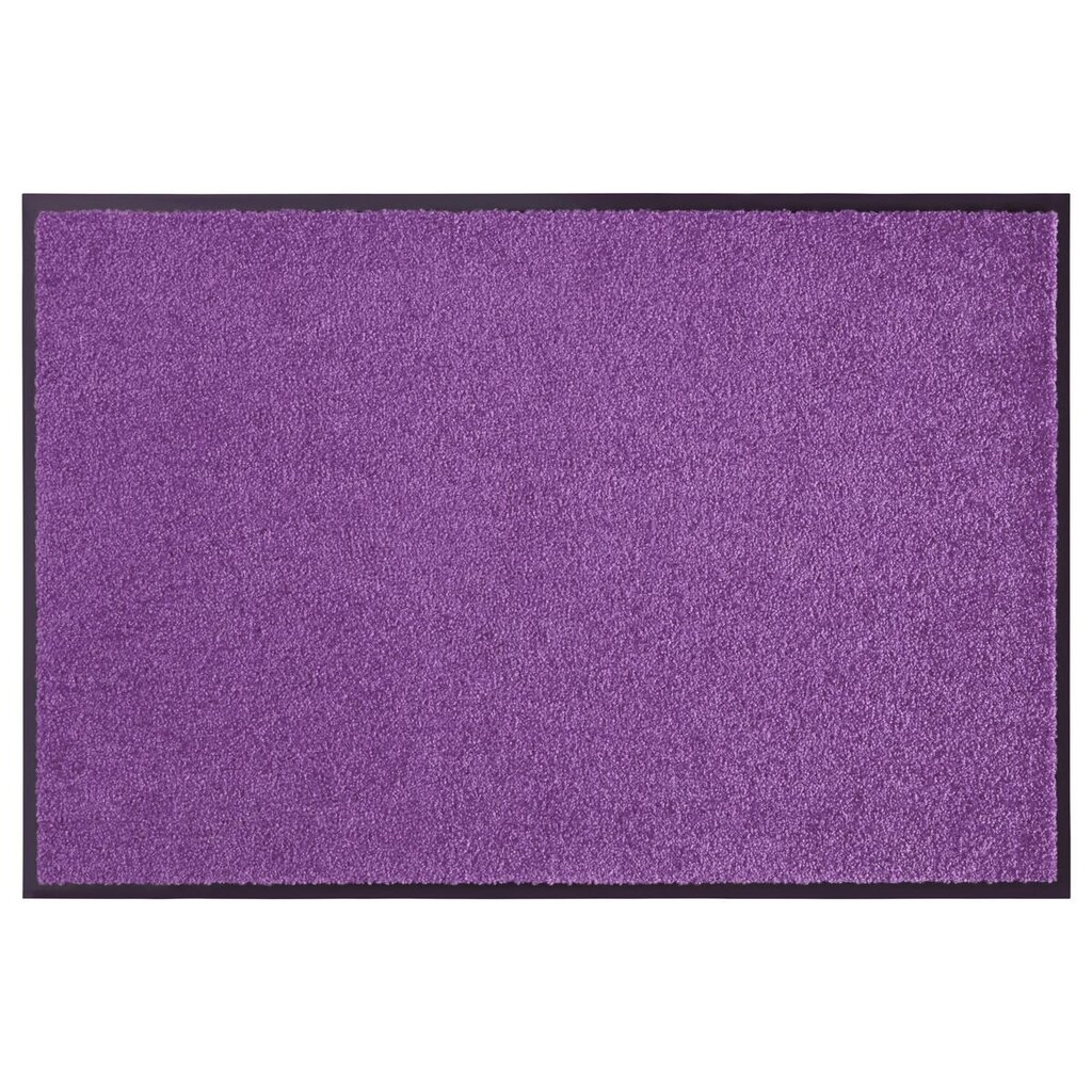 Hanse Home durvju paklājiņš Wash & Clean, 60x90 cm cena un informācija | Kājslauķi | 220.lv