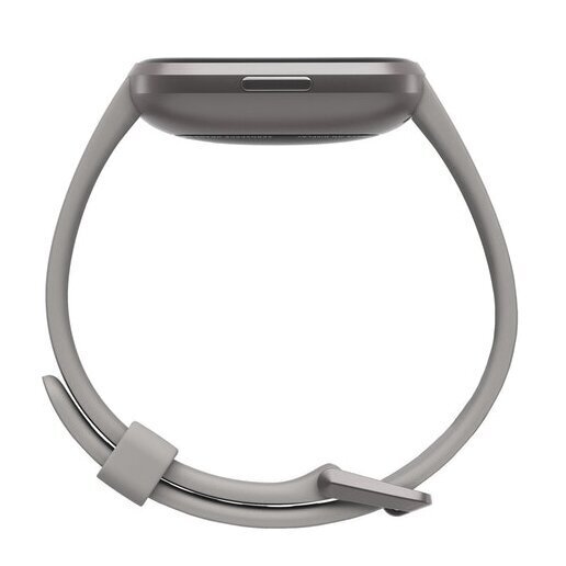 Fitbit Versa 2 (NFC), Stone/Mist Grey Aluminium cena un informācija | Viedpulksteņi (smartwatch) | 220.lv