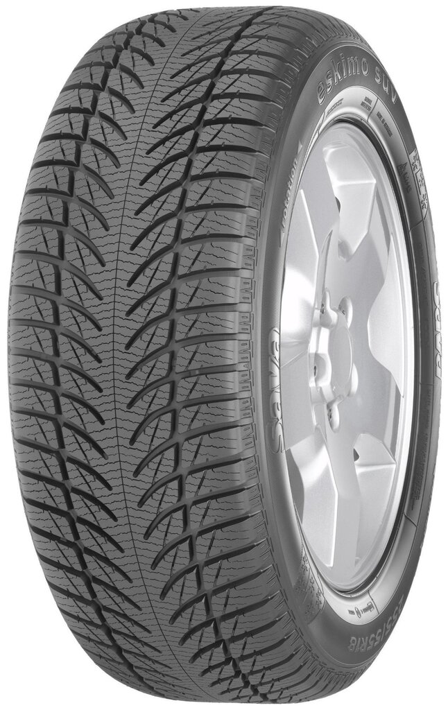 Debica Frigo SUV 2 255/55R18 109 H XL цена и информация | Ziemas riepas | 220.lv