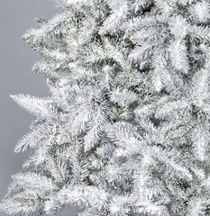 Рождественская елка Tytus Снег 2.2 м цена и информация | Искусственные елки | 220.lv