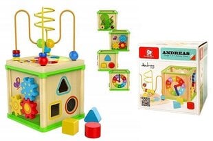 Top Bright attīstoša rotaļlieta ar šķirotāju Pērlītes, 1578754 cena un informācija | Rotaļlietas zīdaiņiem | 220.lv