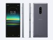 Sony Xperia 1 (J9110), 128GB, Dual SIM, Gray цена и информация | Mobilie telefoni | 220.lv