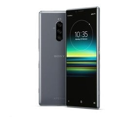 Sony Xperia 1 (J9110), 128Гб, Dual SIM, Gray цена и информация | Sony Мобильные телефоны и аксессуары | 220.lv