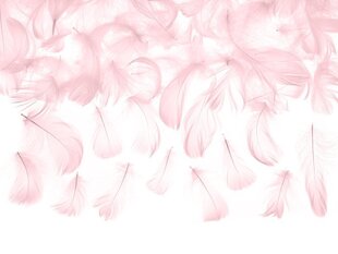 Декоративные перья, светло-розовые, 5-8 см, 3 г цена и информация | Праздничные декорации | 220.lv