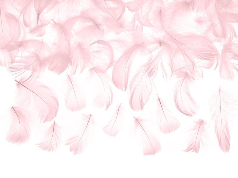 Dekoratīvas spalvas, gaiši rozā, 5-8 cm, 3 g cena un informācija | Svētku dekorācijas | 220.lv