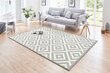 Hanse Home paklājs Native, 160x230 cm cena un informācija | Paklāji | 220.lv