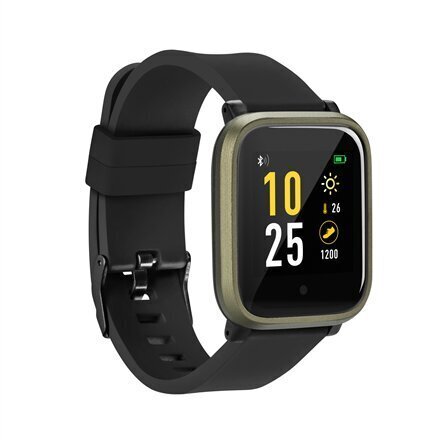 Acme SW102 Khaki цена и информация | Viedpulksteņi (smartwatch) | 220.lv