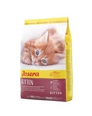 Josera для растущих котят Kitten, 10 кг цена и информация | Сухой корм для кошек | 220.lv