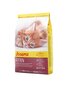 Josera augošiem kaķēniem Kitten, 10 kg цена и информация | Sausā barība kaķiem | 220.lv