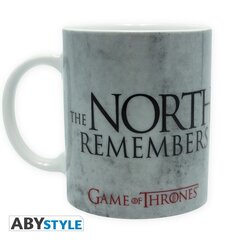 ABYstyle Game of Thrones The North Remembers цена и информация | Атрибутика для игроков | 220.lv