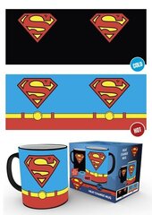 DC Comics Superman Costume цена и информация | Атрибутика для игроков | 220.lv