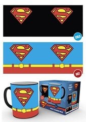 DC Comics Superman Costume cena un informācija | Datorspēļu suvenīri | 220.lv