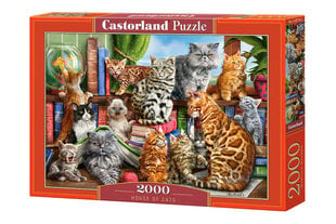 Castorland puzle House of Cats, 2000 detaļas цена и информация | Пазлы | 220.lv