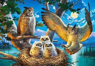 Puzle "Owl Family" Castorland, 500 d. cena un informācija | Puzles, 3D puzles | 220.lv