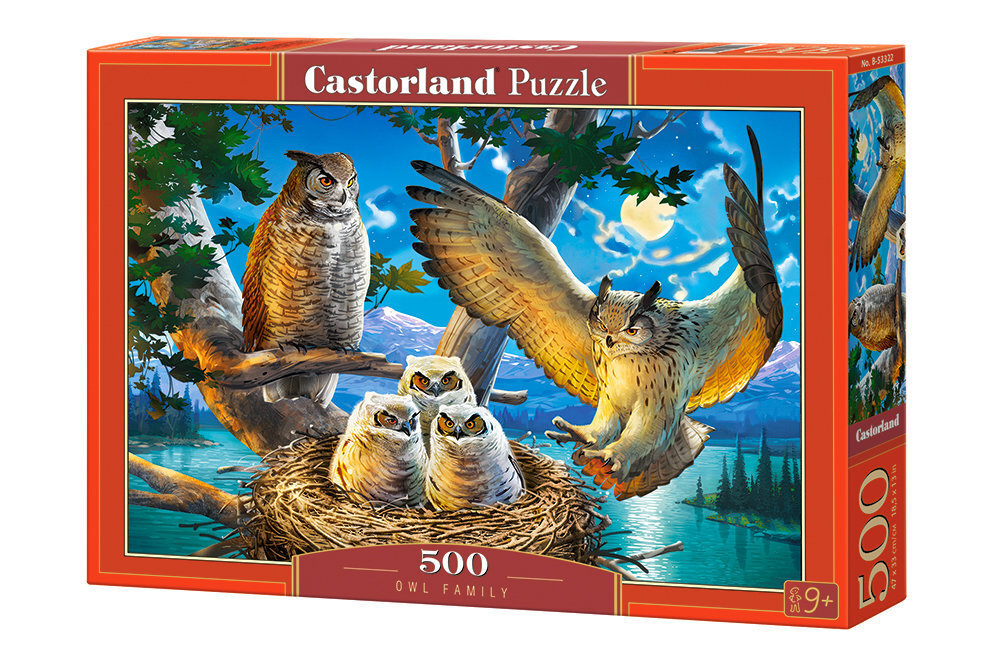Puzle "Owl Family" Castorland, 500 d. цена и информация | Puzles, 3D puzles | 220.lv