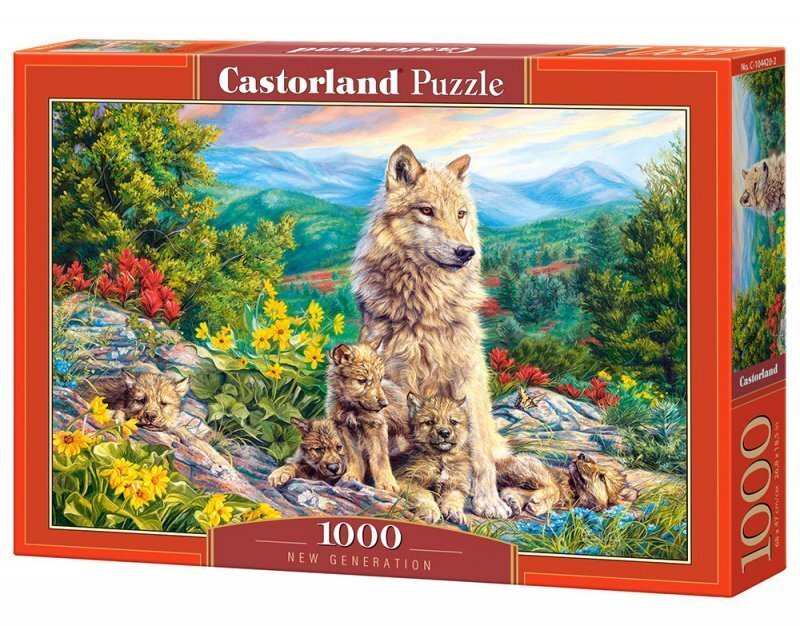 Puzle Puzzle Castorland New Generation, 1000 gab. cena un informācija | Puzles, 3D puzles | 220.lv