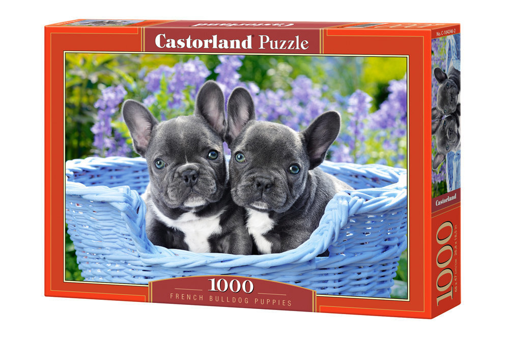 Puzle Puzzle Castorland French Bulldog Puppies, 1000 gab. cena un informācija | Puzles, 3D puzles | 220.lv
