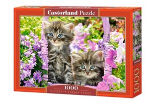 Puzle Puzzle Castorland Kitten in Summer Garden, 1000 gab. cena un informācija | Puzles, 3D puzles | 220.lv