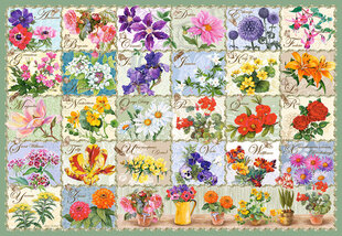 Puzle Puzzle Castorland Vintage Floral, 1000 gab. cena un informācija | Puzles, 3D puzles | 220.lv