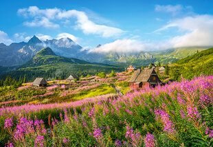 Puzle Puzzle Castorland Hala Gąsienicowa, Tatras, Poland, 1000 gab. цена и информация | Пазлы | 220.lv