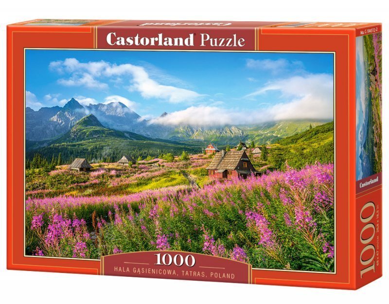 Puzle Puzzle Castorland Hala Gąsienicowa, Tatras, Poland, 1000 gab. cena un informācija | Puzles, 3D puzles | 220.lv