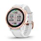 Garmin fēnix® 6S Pro Rose Gold-tone/White cena un informācija | Viedpulksteņi (smartwatch) | 220.lv