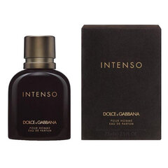 Parfimērijas ūdens Dolce&Gabbana Intenso Pour Homme EDP vīriešiem 40 ml cena un informācija | Vīriešu smaržas | 220.lv