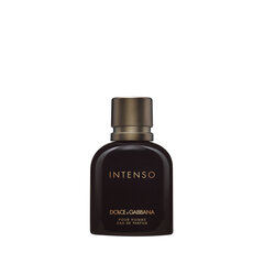 Parfimērijas ūdens Dolce&Gabbana Intenso Pour Homme EDP vīriešiem 40 ml cena un informācija | Vīriešu smaržas | 220.lv