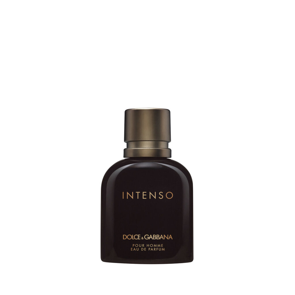 Parfimērijas ūdens Dolce&Gabbana Intenso Pour Homme EDP vīriešiem 40 ml цена и информация | Vīriešu smaržas | 220.lv