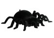 Interaktīvs zirneklis ar tālvadības pulti cena un informācija | Rotaļlietas meitenēm | 220.lv