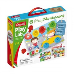 Головоломки Play Lab Quercetti, 0622, 20 ч. цена и информация | Развивающие игрушки | 220.lv