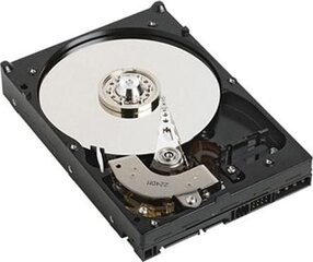 Dell Iekšējie cietie diski (HDD, SSD, Hybrid)