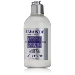 Ķermeņa losjons L'Occitane Lavender 250 ml cena un informācija | Parfimēta sieviešu kosmētika | 220.lv