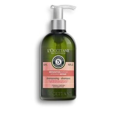 Šampūns bojātiem matiem L'Occitane Essential Oils Intensive Repair 500 ml cena un informācija | Šampūni | 220.lv