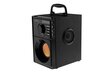 Media-Tech Boombox BT MT3145 V2.0 cena un informācija | Skaļruņi | 220.lv