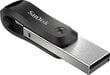 SanDisk SDIX60N-128G-GN6NE cena un informācija | USB Atmiņas kartes | 220.lv