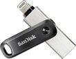 SanDisk SDIX60N-128G-GN6NE cena un informācija | USB Atmiņas kartes | 220.lv