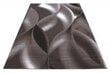Ayyildiz paklājs Plus Brown 8008, 160x230 cm цена и информация | Paklāji | 220.lv